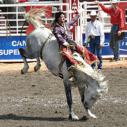 6 Day Calgary Stampede Finals Rally (06CCFG-071322)
