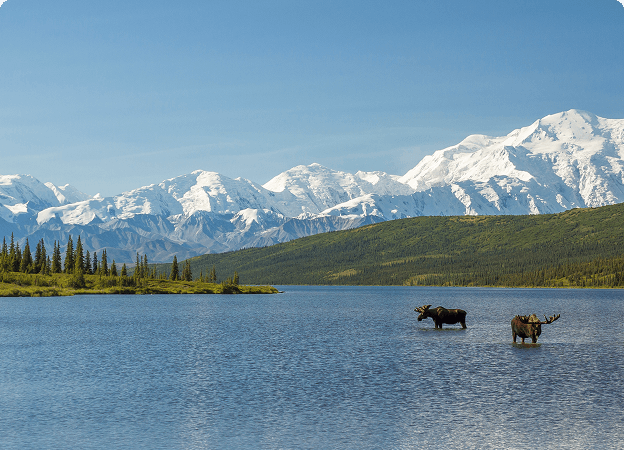 Alaska summer season scenery