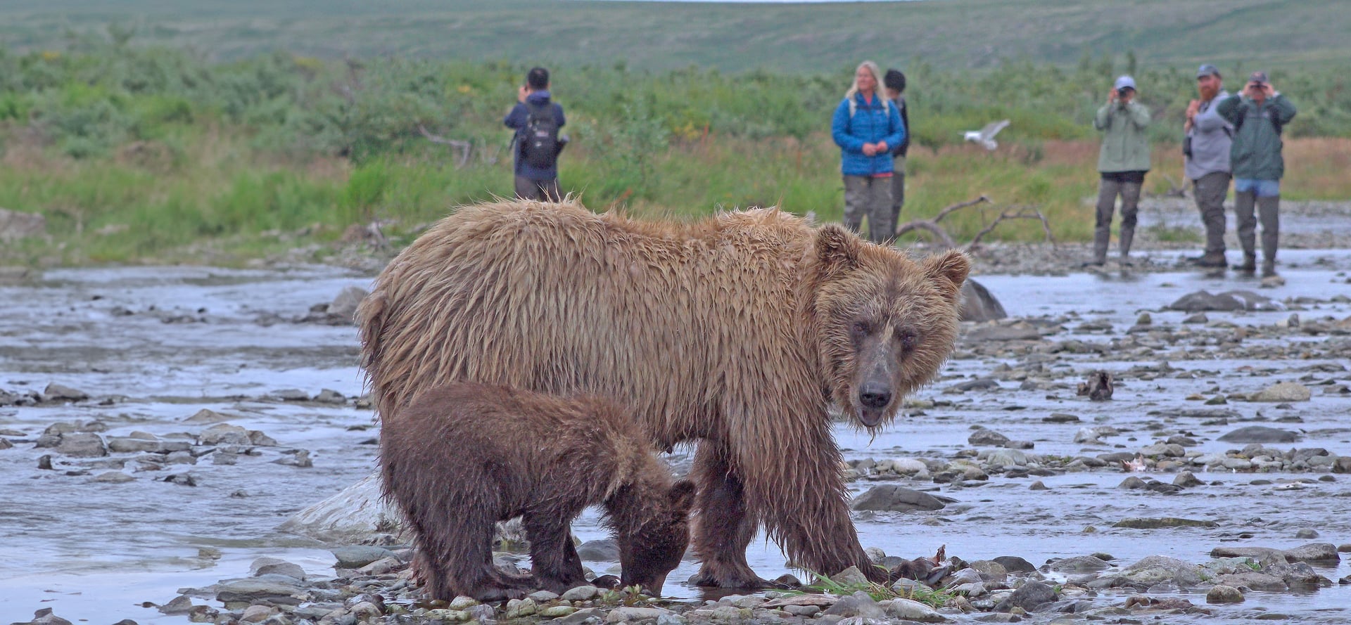 What Alaska RV travel is really like video thumbnail