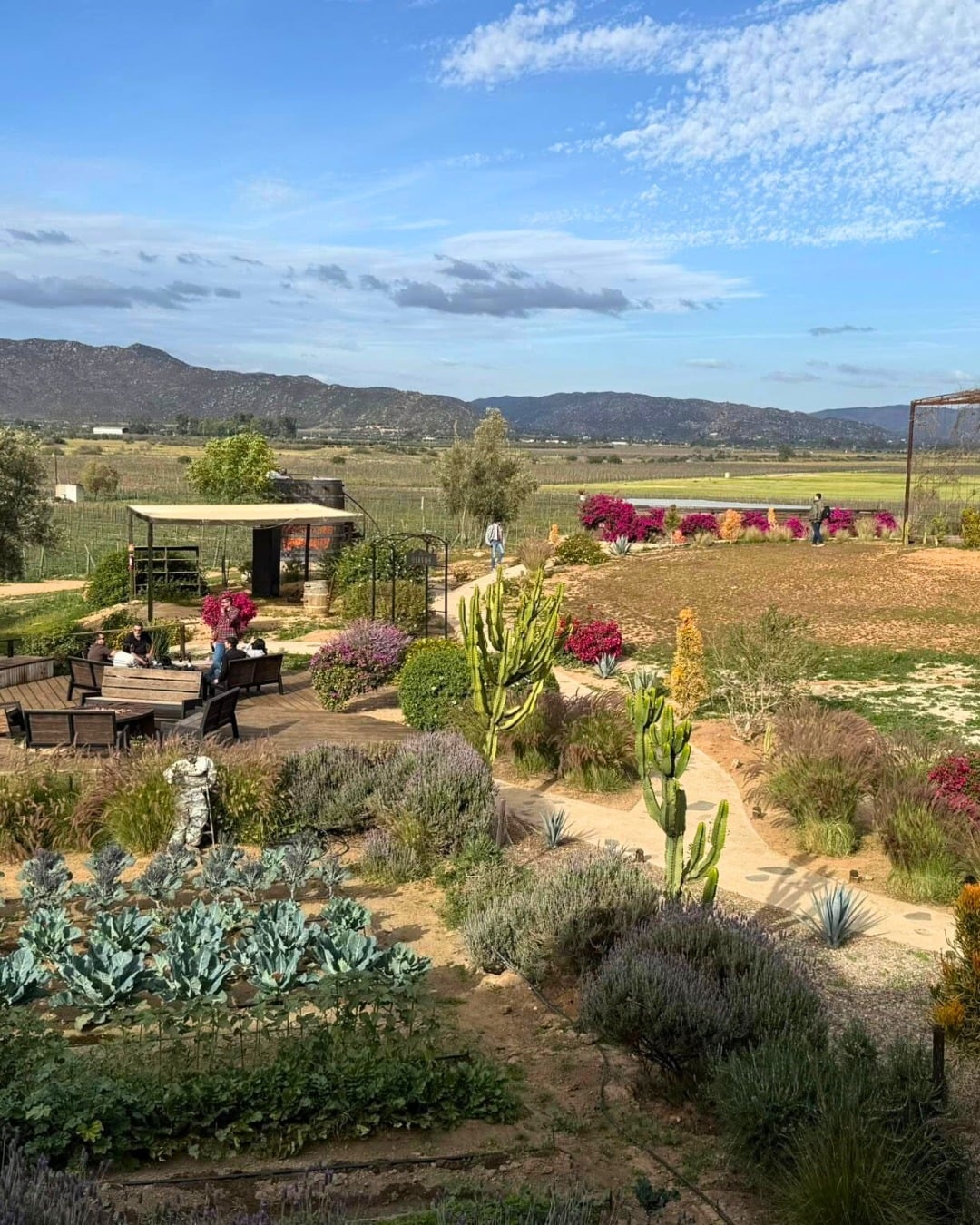 Baja Mexico bucket-list RV moment 4 placeholder