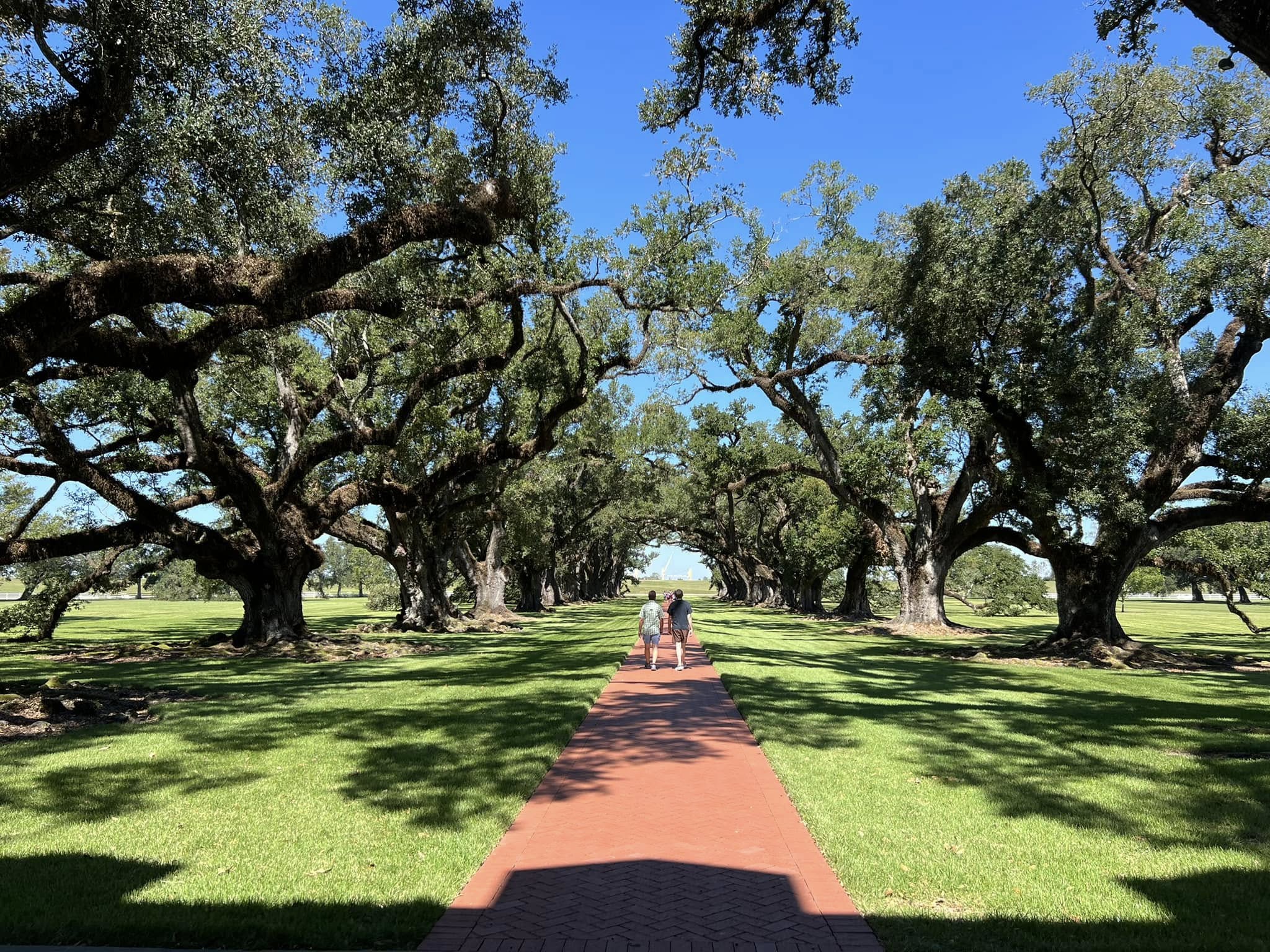 Southern charm