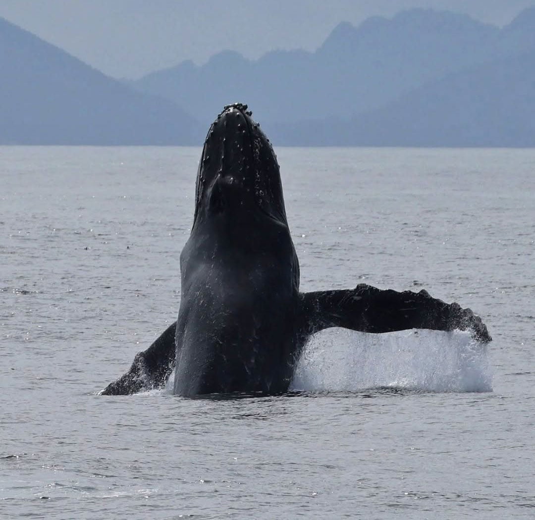 Bucket list Alaska moment 3 placeholder