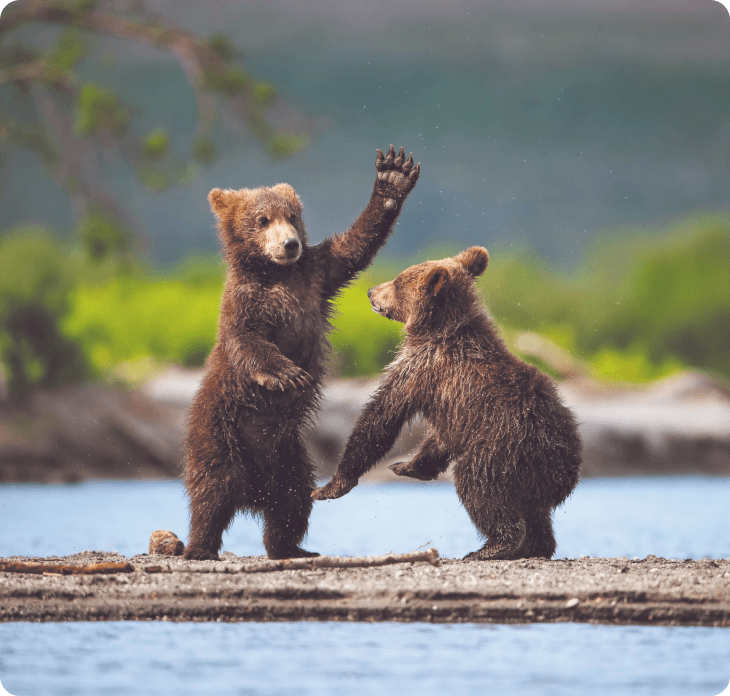 Alaska