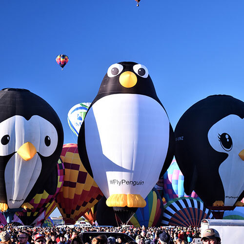 5 Day Balloon Fiesta for Good Sam