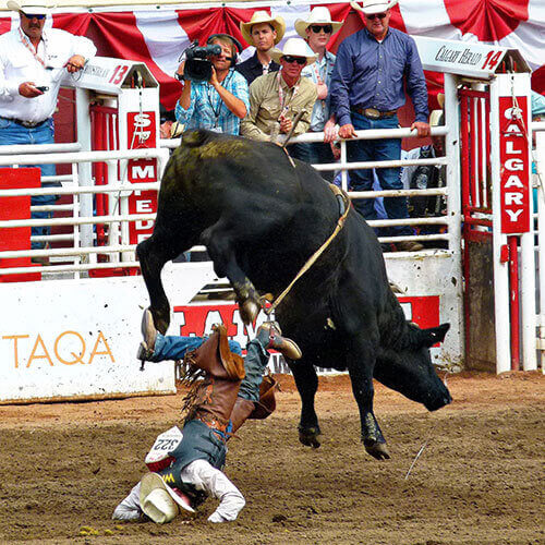 6 Day Calgary Stampede Finals Rally