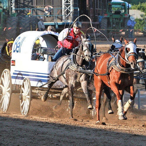 6 Day Calgary Stampede Finals Rally