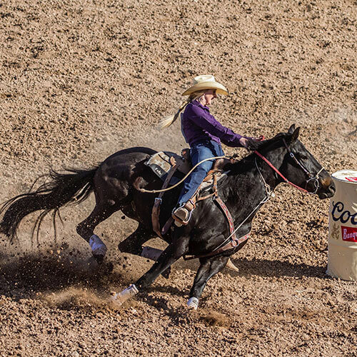 6 Day Calgary Stampede Finals