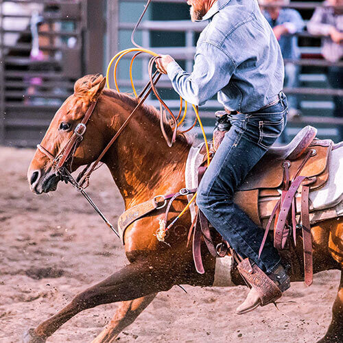 6 Day Calgary Stampede Finals Rally