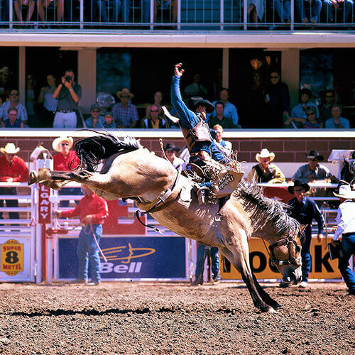 6 Day Calgary Stampede Finals