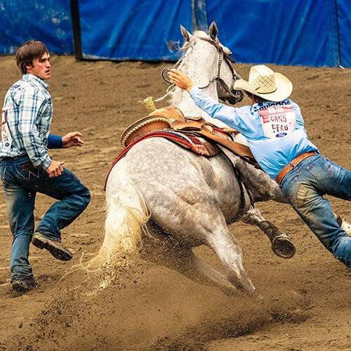 6 Day Calgary Stampede Finals
