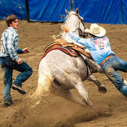 6 Day Calgary Stampede Finals Rally