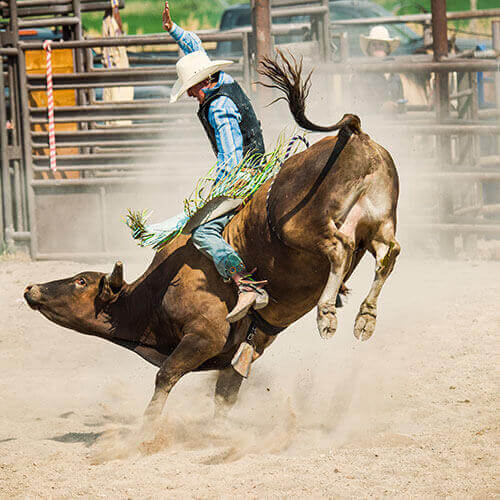 6 Day Calgary Stampede Finals