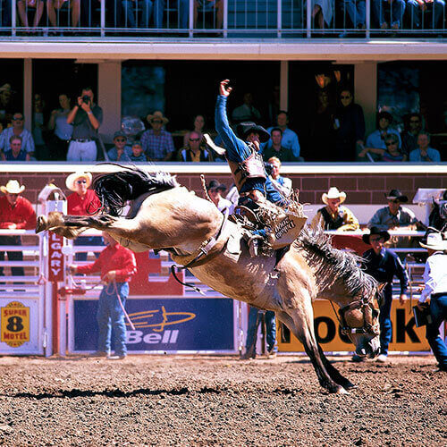 6 Day Calgary Stampede Finals Rally