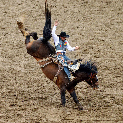 6 Day Calgary Stampede Finals Rally