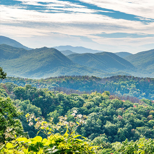 6 Day Pigeon Forge Reunion Rally