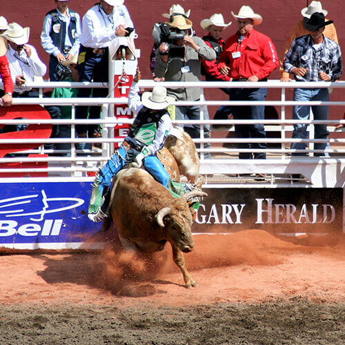 7 Day Calgary Stampede