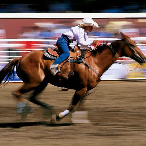 7 Day Calgary Stampede Rally