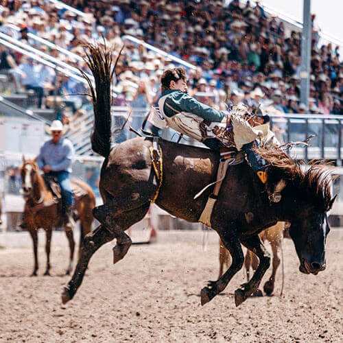 7 Day Calgary Stampede Rally