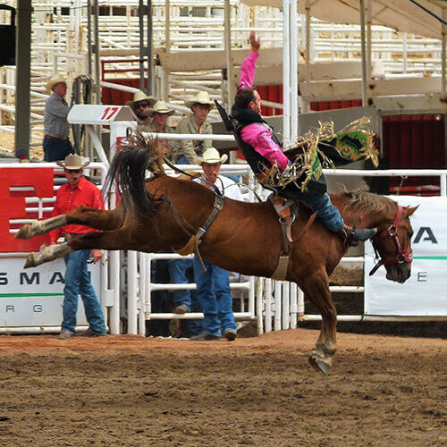 7 Day Calgary Stampede Rally