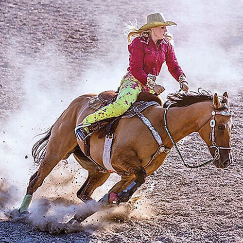 7 Day Calgary Stampede