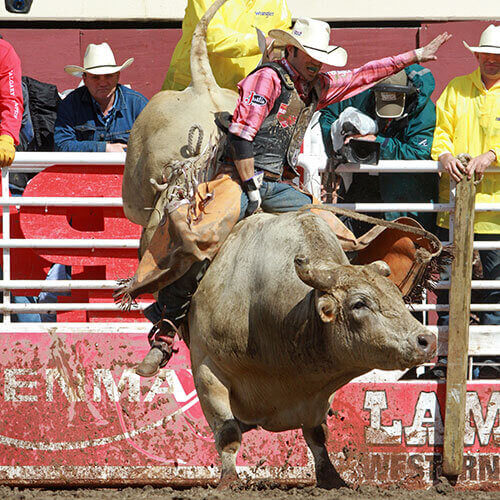 7 Day Calgary Stampede Rally