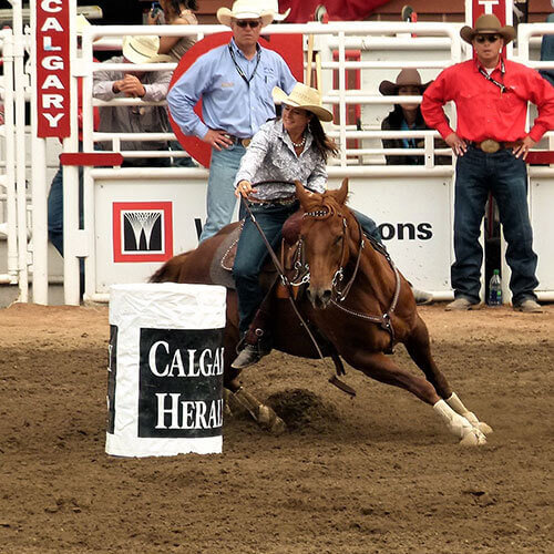 7 Day Calgary Stampede Rally