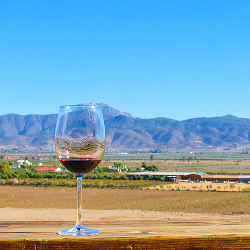 7 Day Baja Wine & Dine