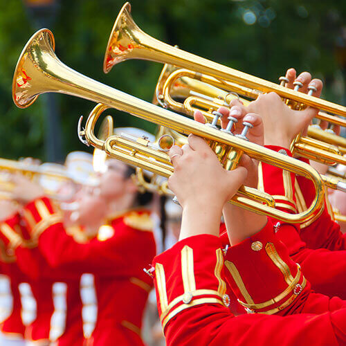 7 Day Rose Parade