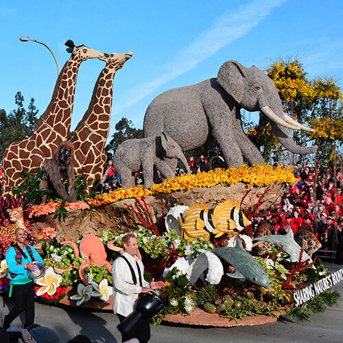 7 Day Rose Parade