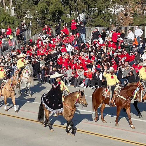 7 Day Rose Parade