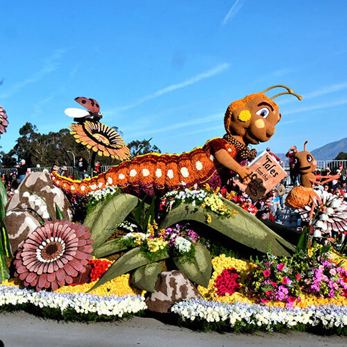 7 Day Rose Parade