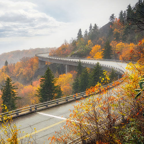 7 Day Smoky Mountain Rally