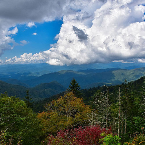 7 Day Smoky Mountain Rally