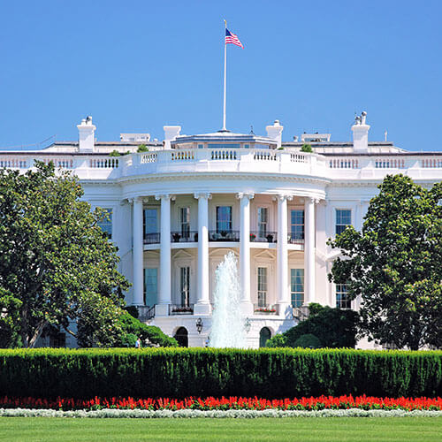 8 Day Washington DC Rally