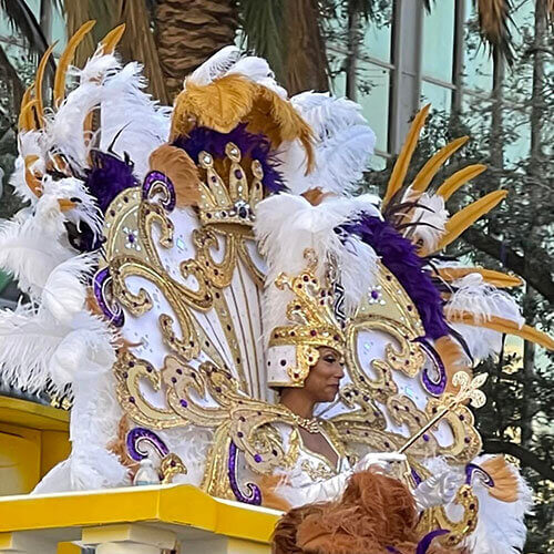 9 Day Mardi Gras