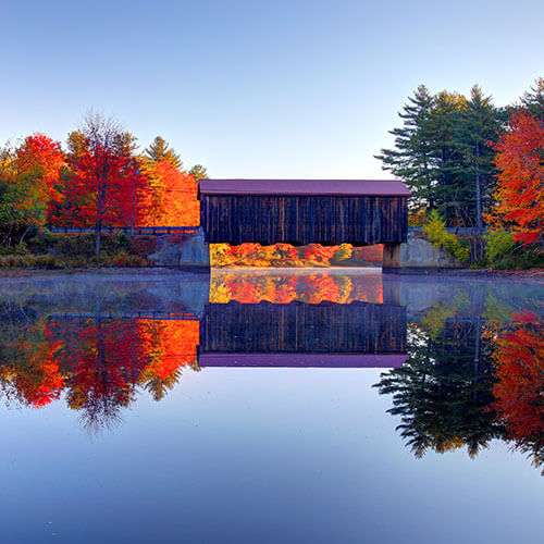 29 Day Autumn in New England