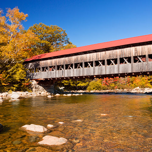 29 Day Autumn in New England