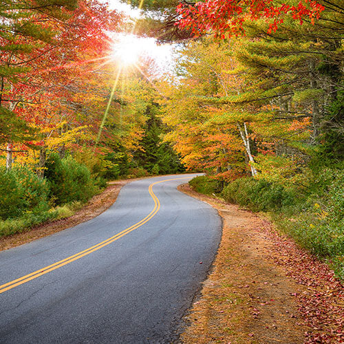 29 Day Autumn in New England