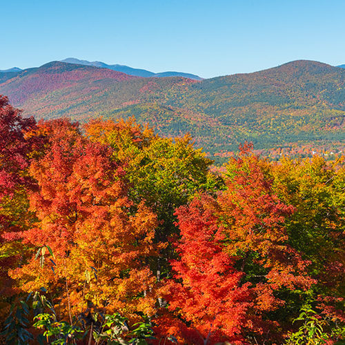 29 Day Autumn in New England