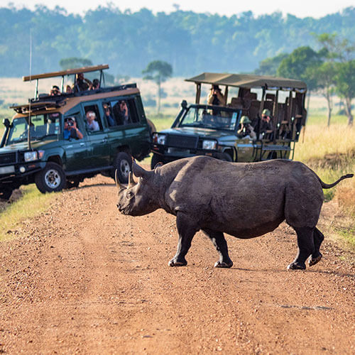 33 Day South Africa RV Safari
