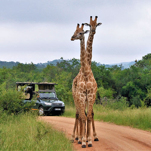 33 Day South Africa RV Safari