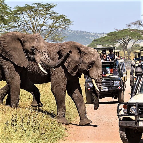 33 Day South Africa RV Safari