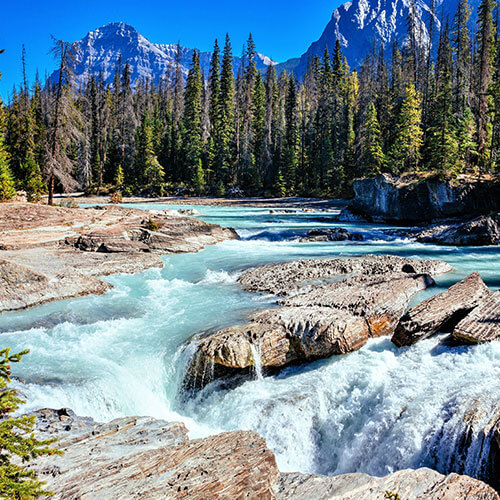 40 Day Canada Land & Sea