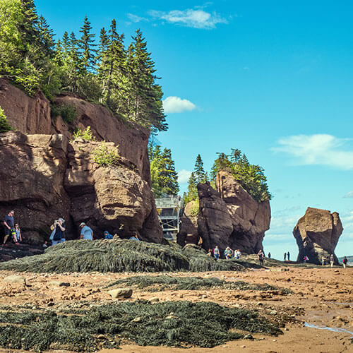 Bay of Fundy Tours - Part of Caravan Nova Scotia PEI Tour