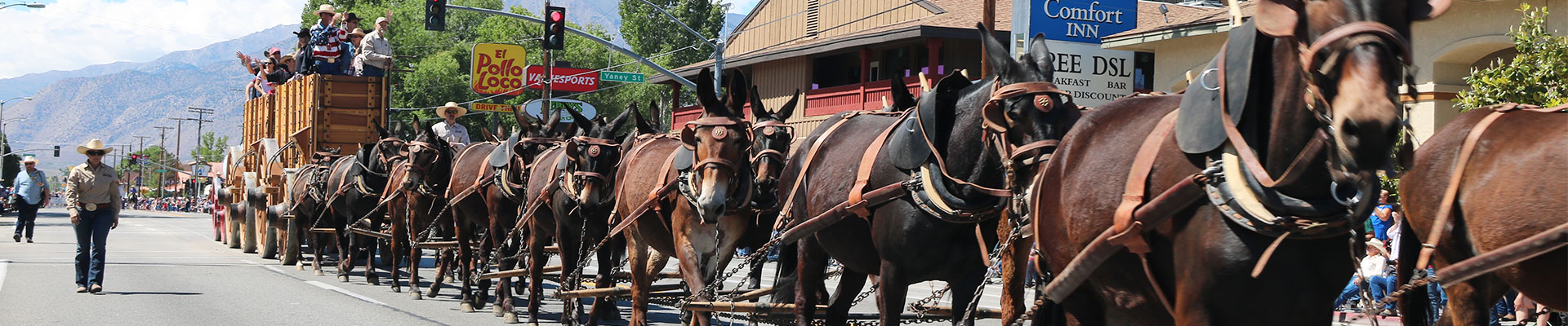 Fantasy RV Tours: 6 Day Mule Days Rally (06UMDF-052020)