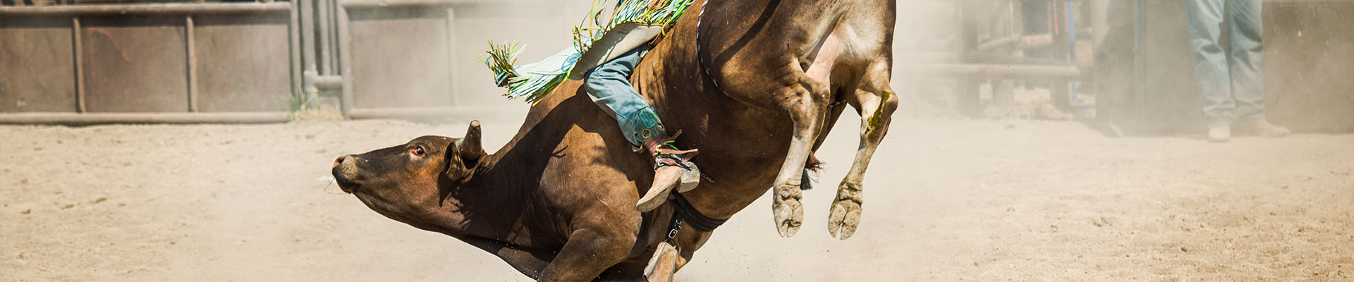 Fantasy RV Tours: 7 Day Calgary Stampede (07CCSG-070319)