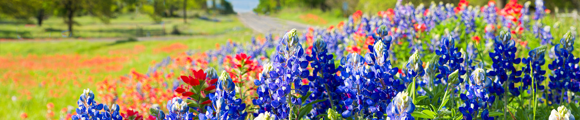 Fantasy RV Tours: 7 Day San Antonio Fiesta Rally (07USAF-042124)