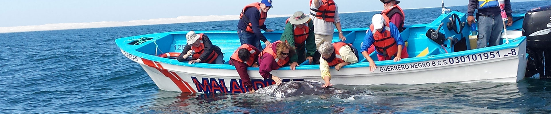 Fantasy RV Tours: 13 Day Baja Whale Watching (13MWWF-030821)