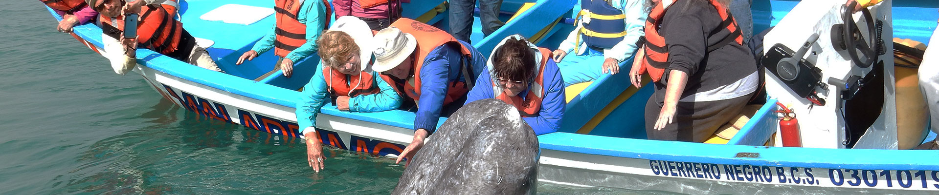 Fantasy RV Tours: 15 Day Baja Whale Watching (15MWWF-031223)