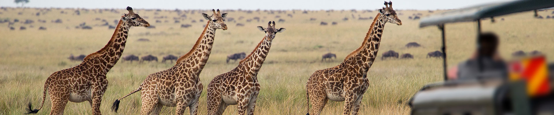 Fantasy RV Tours: 33 Day South Africa RV Safari (33OSAP-032326)